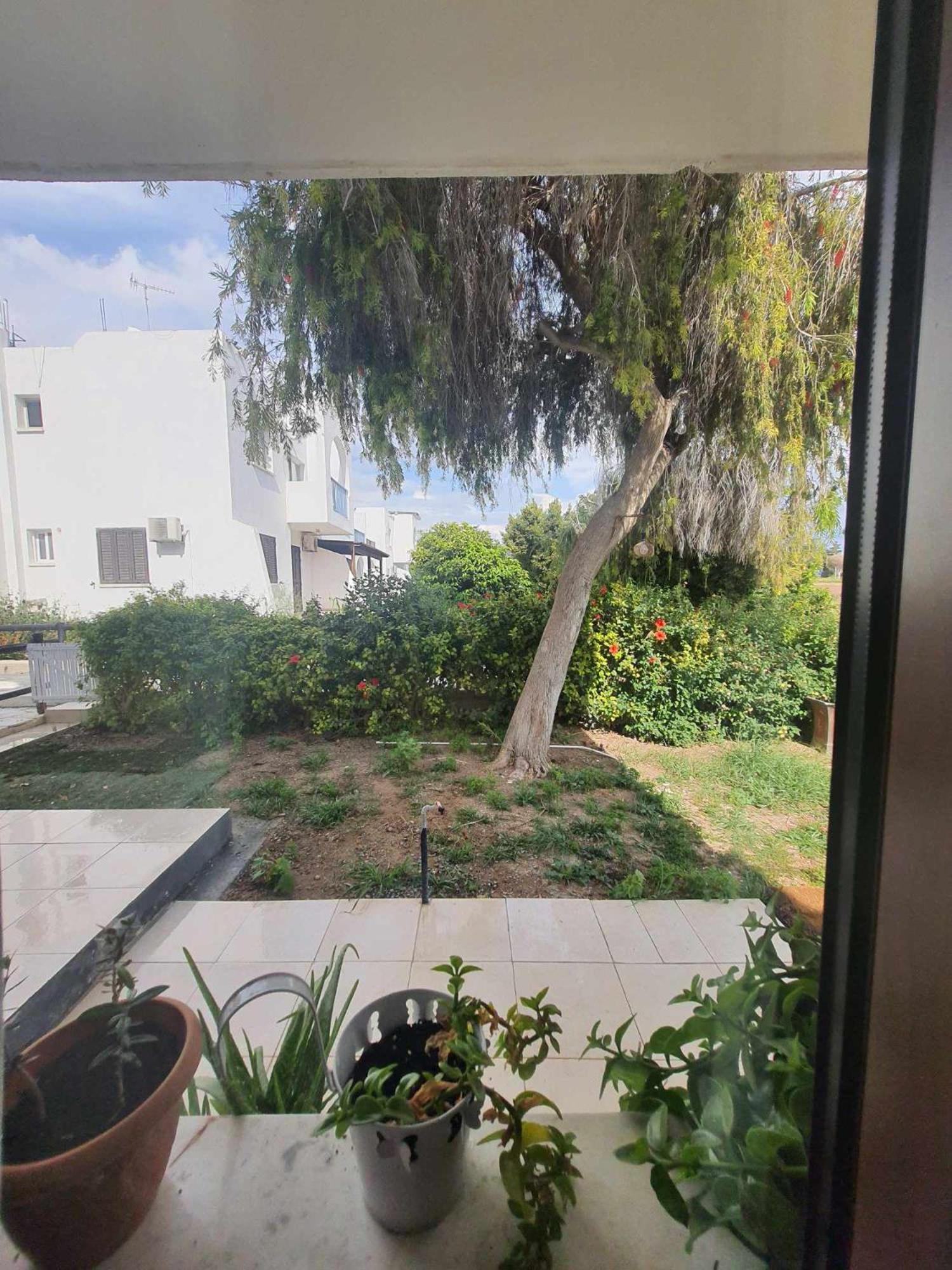 Nice Holiday Apartment Paphos Ngoại thất bức ảnh